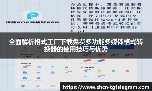 全面解析格式工厂下载免费多功能多媒体格式转换器的使用技巧与优势