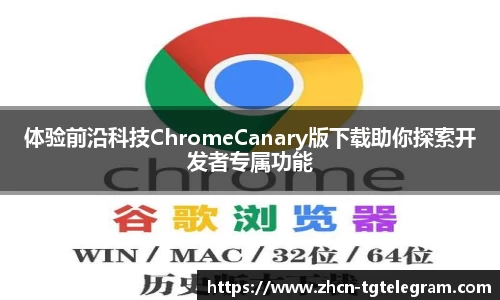 体验前沿科技ChromeCanary版下载助你探索开发者专属功能